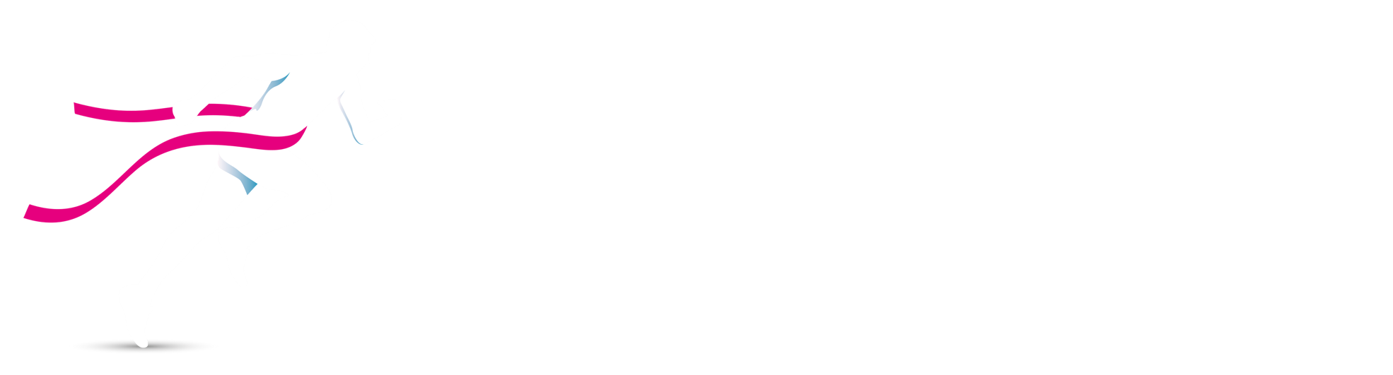 Riwal Halve Marathon